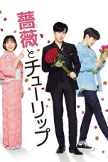 장미와 튤립 (2019)
