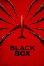 Black Box (Flight 298) (2026)